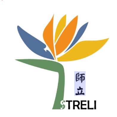 STRELI Technology logo